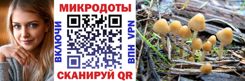 купить  сайты  Жуковский  Галлюциногенные грибы GOLDEN TEACHER 